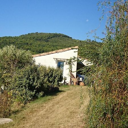 Maison De Campagne L'Etang Seillans Eksteriør bilde
