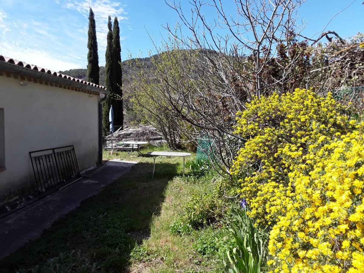 Maison De Campagne L'Etang Seillans Rom bilde